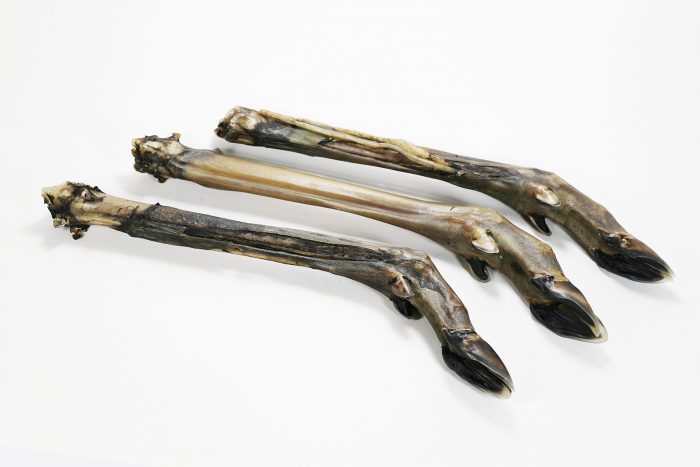 Roe-deer feet without hair