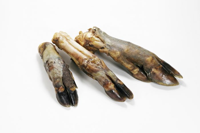 Wild boar feet without hair