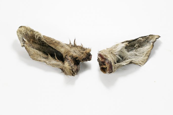 Roe-deer ears with fur