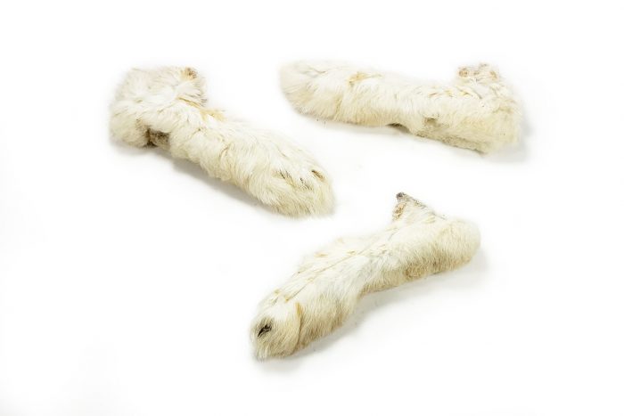 Rabbit feet